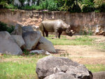 DSCF0370