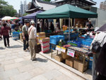 DSCF0422