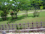 DSCF0620