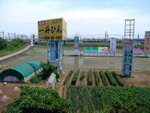 DSCF0624