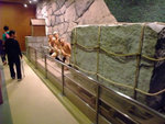 DSCF0754