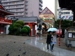 DSCF0786