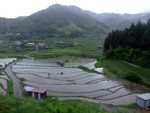 DSCF0820