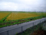 DSCF0824