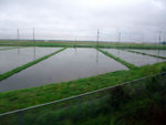 DSCF0825