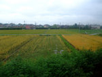 DSCF0826