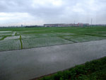 DSCF0827