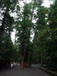 DSCF0857