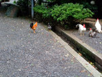 DSCF0866