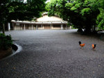 DSCF0868
