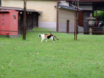 DSCF0997