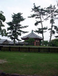 DSCF1001