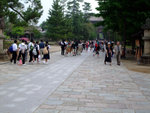 DSCF1048
