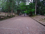 DSCF1056