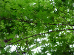 DSCF1058