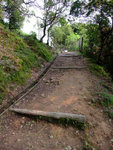 DSCF1066