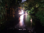 DSCF1611