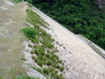 DSCF0024