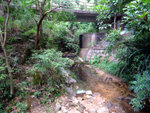 DSCF0036