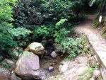 DSCF0037