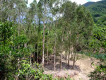 DSCF0038
