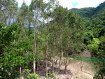 DSCF0039