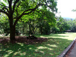 DSCF0045