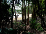 DSCF0046