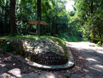DSCF0047