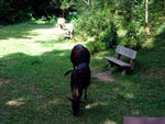 DSCF0053