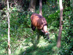 DSCF0054