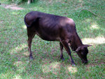 DSCF0055