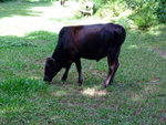 DSCF0056