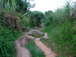 DSCF0064