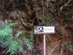 DSCF0018