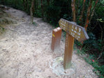 DSCF0019