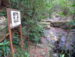 DSCF0023
