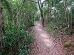 DSCF0033
