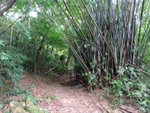 DSCF0035