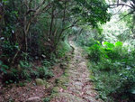 DSCF0036