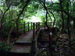 DSCF0037