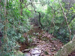 DSCF0038