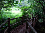 DSCF0039