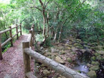 DSCF0041