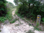DSCF0044