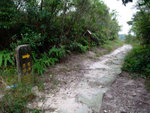 DSCF0045