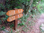 DSCF0050
