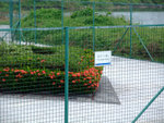 DSCF0066