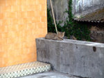 DSCF0067