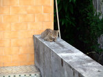 DSCF0068